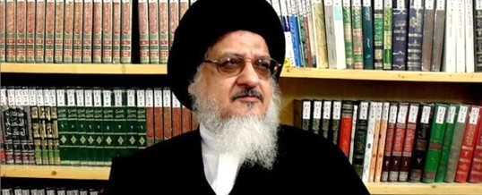 Im Gespräch mit Ayatollah Seyyed Ali Milani